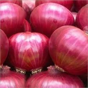 NF I Onion I 450gm