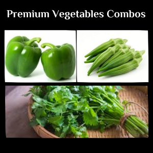 Combo Veggies ID # 12782 I Bhindi, Capiscum Green & Dhania